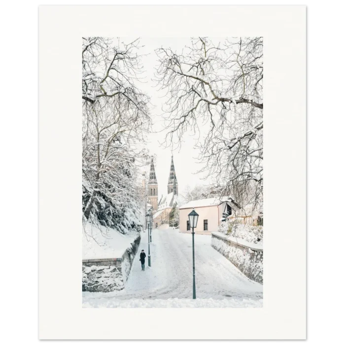 dd8acf14-257f-4898-8656-6972c64d3a36