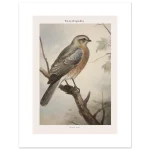 df72e30d-441a-4fb5-871f-4fd7a38b0aae