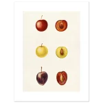 dfd2d051-910e-4a76-9ea6-414c9c58e618