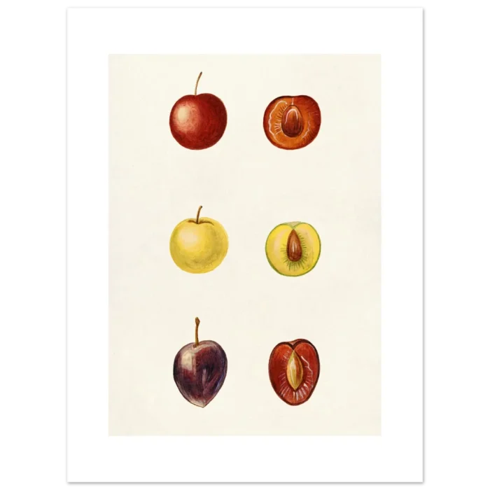 dfd2d051-910e-4a76-9ea6-414c9c58e618