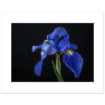 dfef6424-2053-4ca8-baa3-11e9e9c3bd57