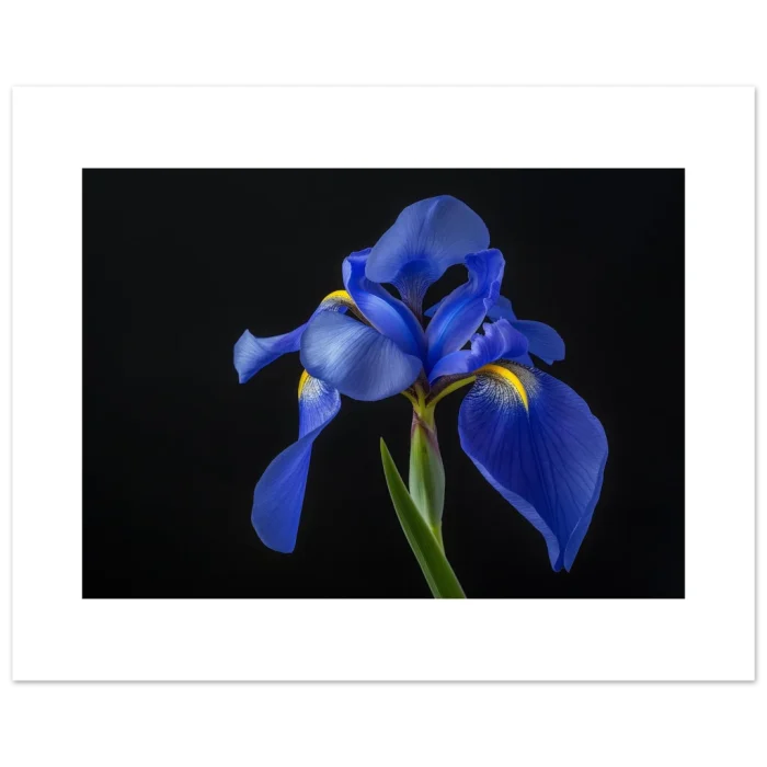 dfef6424-2053-4ca8-baa3-11e9e9c3bd57