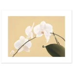 e02fba8c-a404-466e-8b1d-d38ea57421ef