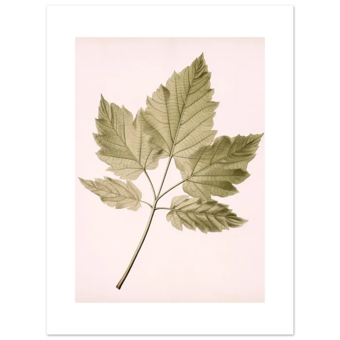 e0bb1c2d-9f98-4d71-bbf0-0c4d552effac