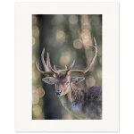 e146ca0a-7888-49de-9f56-dc816ac31f44