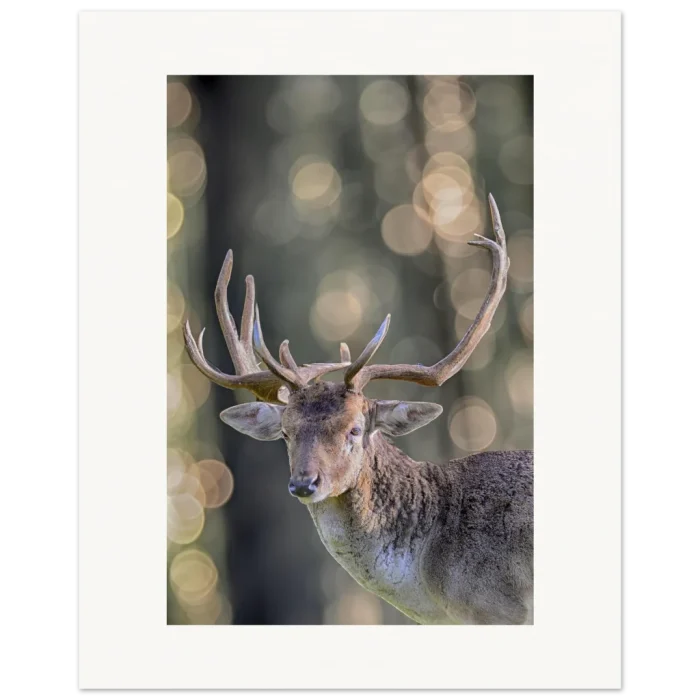 e146ca0a-7888-49de-9f56-dc816ac31f44