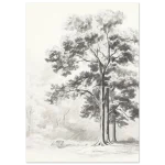 e2501f0a-eb5f-4c9d-b200-0da81eda3f72