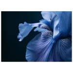 e2f52883-692d-460f-afce-179ffe31dab4