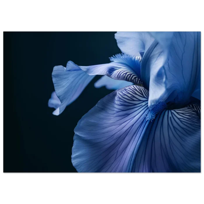 e2f52883-692d-460f-afce-179ffe31dab4