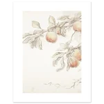 e31182a4-3b6d-4dd5-8b28-532c15d5761e