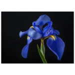 e3432280-d4e5-4fd5-ad72-dc0e5a7dc612