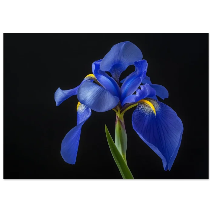 e3432280-d4e5-4fd5-ad72-dc0e5a7dc612