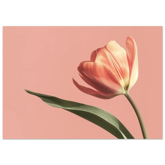 e3613cbd-cf42-4d3d-9140-95079a42938a