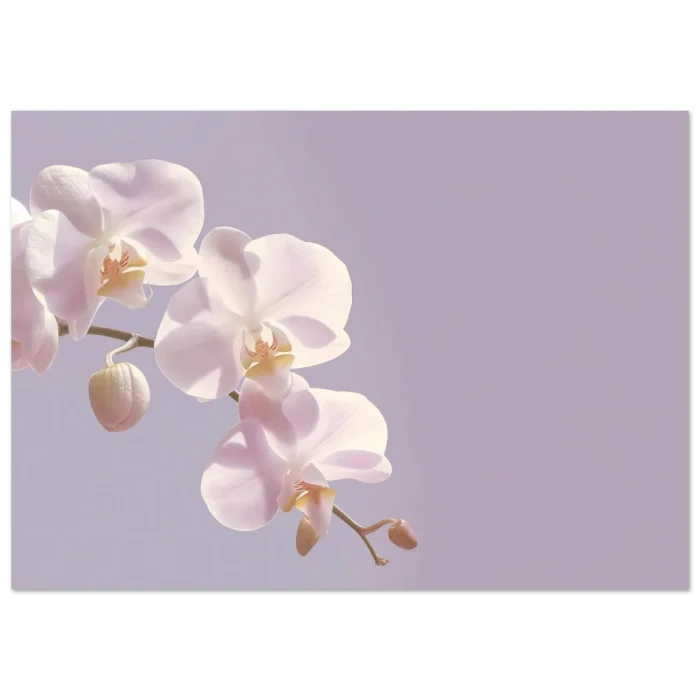 e455aa64-5978-4905-8d78-50d4fd0a71d4