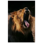 e457034b-e5f7-46a1-a8ab-0ea35a5aa31a