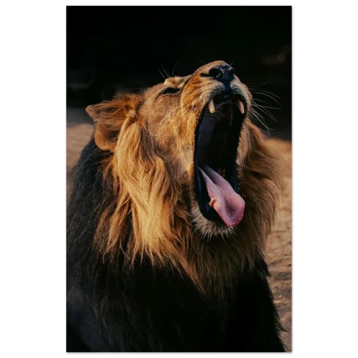 e457034b-e5f7-46a1-a8ab-0ea35a5aa31a