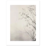 e50cfecd-4579-41a3-80d6-2745a4a658c3