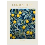 e546a774-31c3-4e0c-b332-3c1a7fe3a6f1