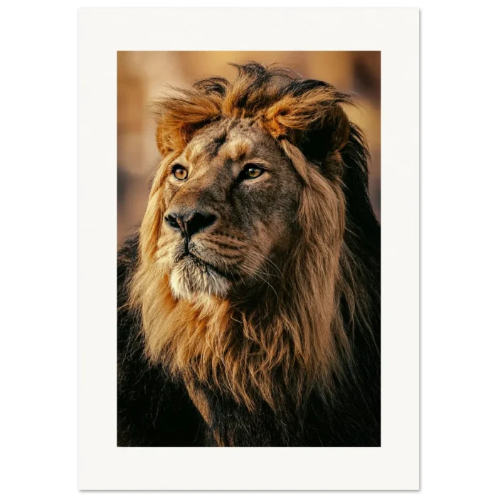 e706a4b3-92db-43d8-bcaa-689dd596ed14