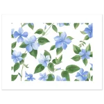 e75499ff-7916-43c2-90be-ec96bb4fc4e8