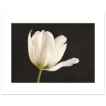 e9e716be-fbbc-4eff-9734-9b4b293bfe19