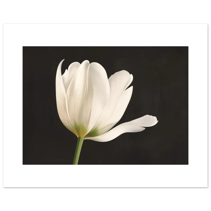 e9e716be-fbbc-4eff-9734-9b4b293bfe19