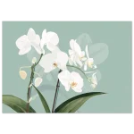 ecb5df32-38dd-47bd-bc33-0518865cdd57