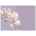 ecb70ecb-badc-4fc3-838b-9fd6ff0d009e