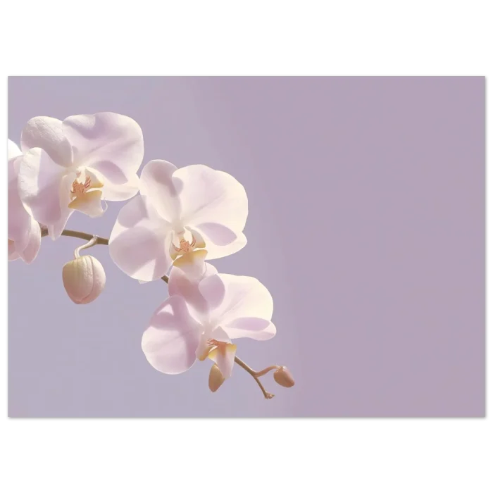 ecb70ecb-badc-4fc3-838b-9fd6ff0d009e