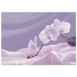 ee4b97b2-a058-4dfe-8665-027c8c246e71