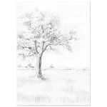 ef96e9d6-28bc-47e6-a278-af6797448130