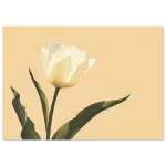 f27aadc5-e1e5-40b2-9d1a-b8ca206b03e1