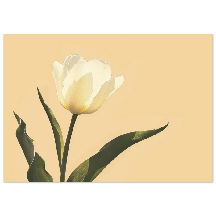 f27aadc5-e1e5-40b2-9d1a-b8ca206b03e1