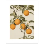 f2847c81-d315-4423-8f28-1431bf0ab110