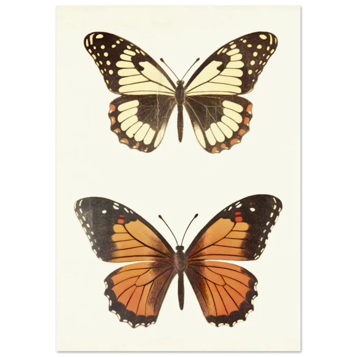 f3428291-86e8-4367-892a-4ff59f8f5173