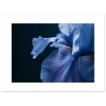 f3e37174-bbb5-4a9c-a5c9-ada657bea64f