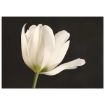 f4813844-36de-4ef8-9818-83c922d1abd8