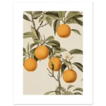 f5066d8e-a9f7-4c0e-9259-16129ed45493