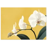 f51b3825-cd4c-434e-ab5c-4178d75d2721