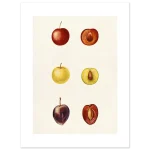 f5311057-811b-4ad7-aa2d-74a8a0fd9ef8