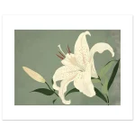 f6009e5c-35c0-44cb-8a23-5f925d40929b