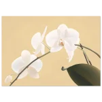 f7340177-7bb7-4abb-844e-9d8c1030c8d2