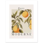 f7928fe0-2ebf-4be0-a532-4d1ee6be91ef