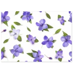 f8f2bf4e-4d17-4369-a0d2-c14443c257cf