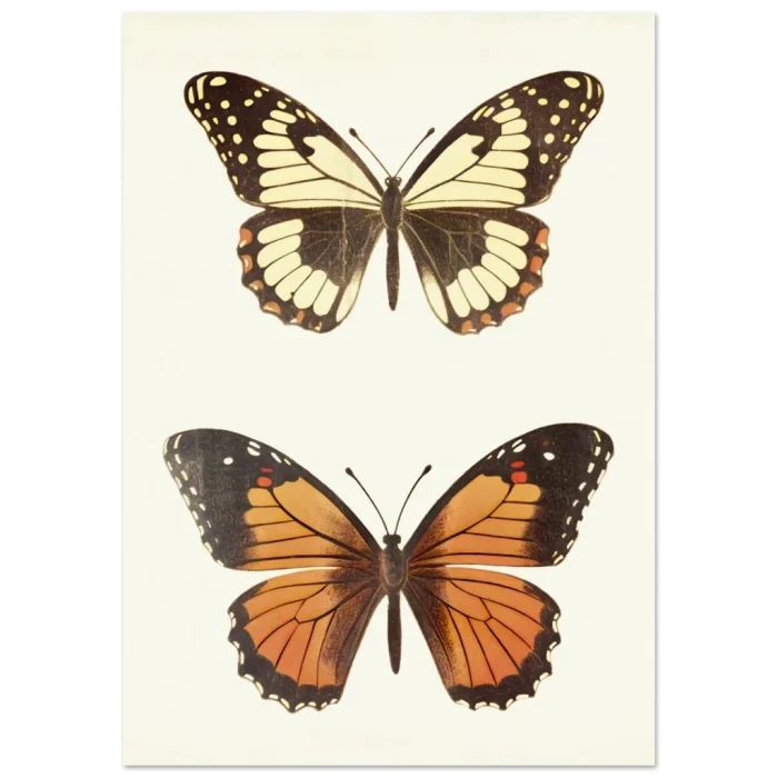 f933ce19-f01a-48b5-a0c4-c5e00110e729