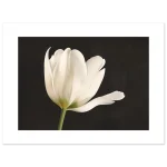 f9588707-4323-46c5-841f-8265f37bec9c