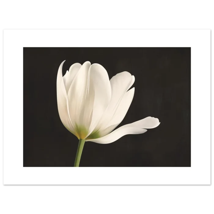 f9588707-4323-46c5-841f-8265f37bec9c