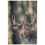 f9d24def-19f3-4299-b633-a41803eaa400