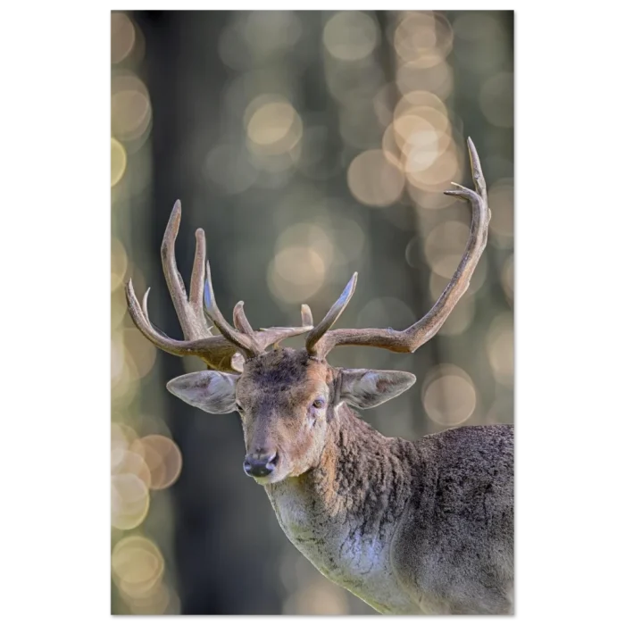 f9d24def-19f3-4299-b633-a41803eaa400