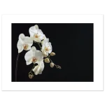 f9f7da55-610f-48af-ba4e-5f34b05e20a2